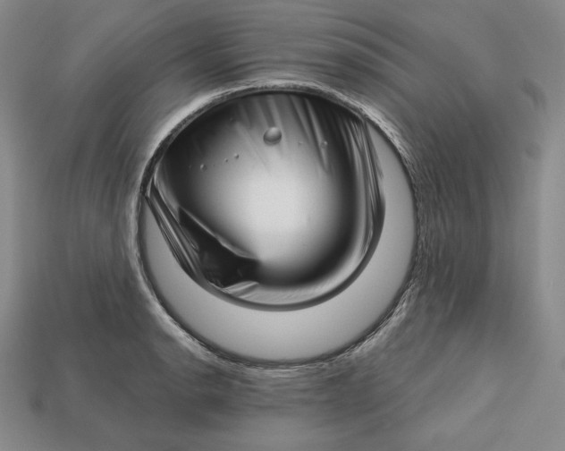 X0000112761134200909101525