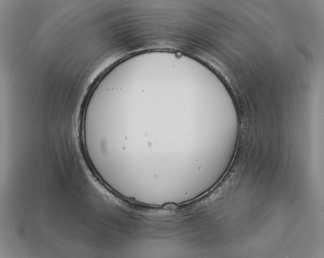 X0000112761135200909101525