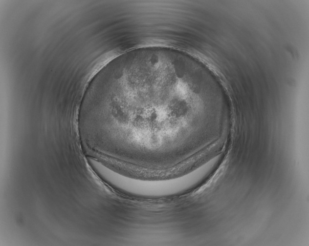 X0000112761137200909101525