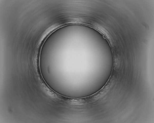 X0000112761138200909101525