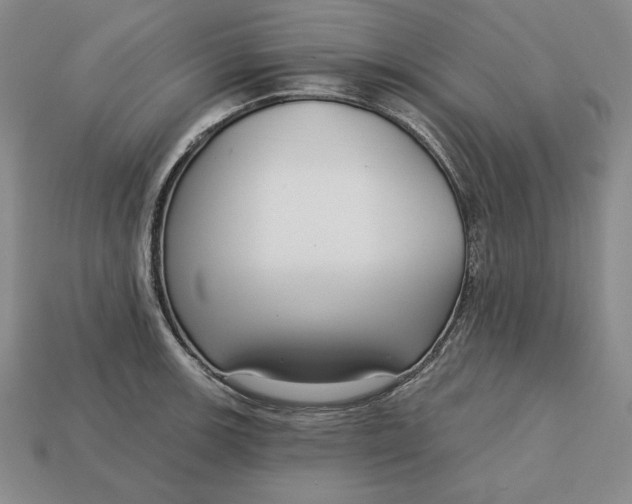 X0000112761139200909101525