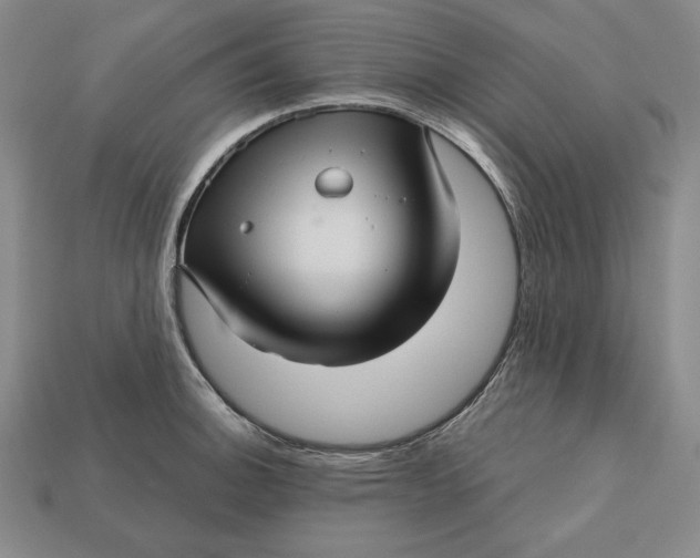 X0000112761140200909101525