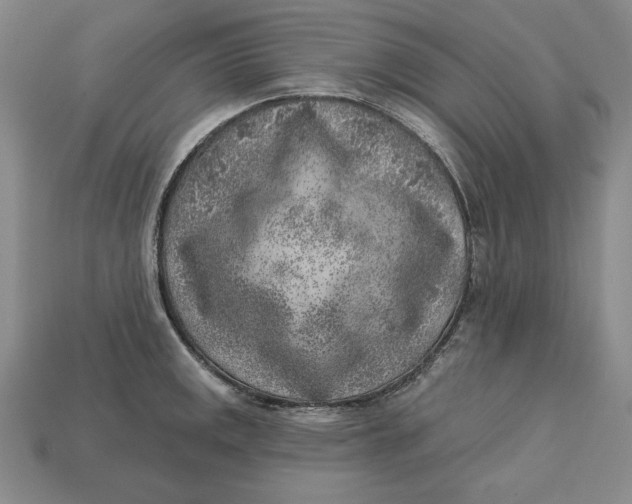 X0000112761141200909101525