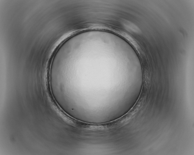 X0000112761142200909101525