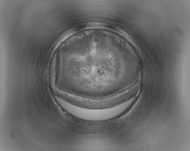 X0000112761145200909101525