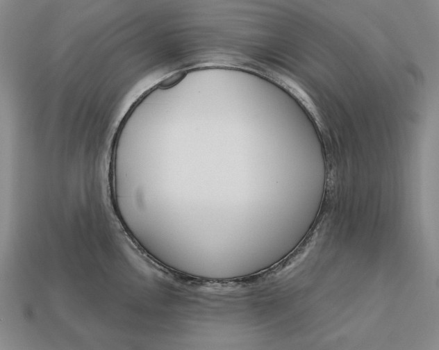 X0000112761146200909101525