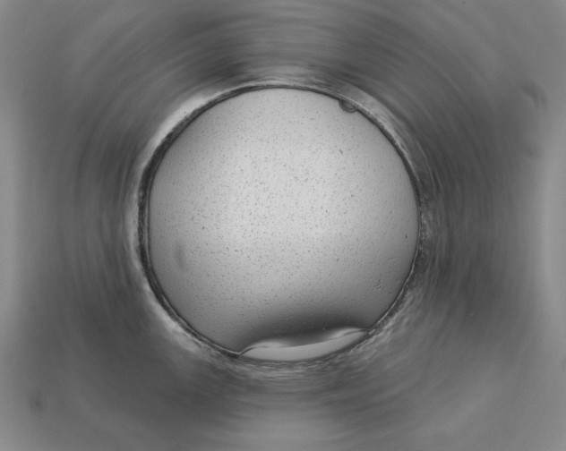 X0000112761147200909101525