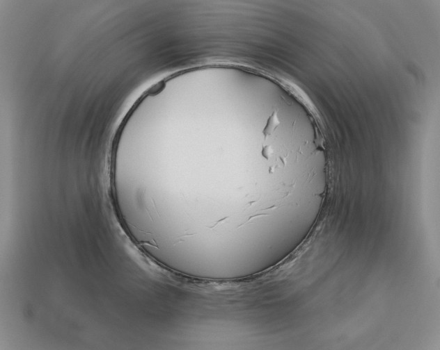 X0000112761148200909101525