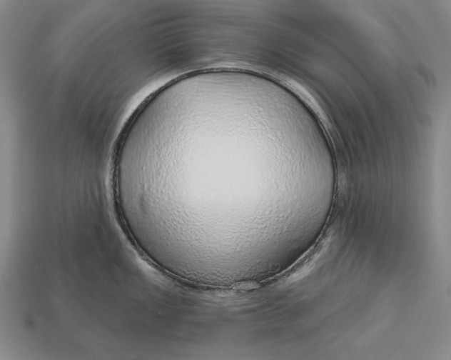 X0000112761149200909101525