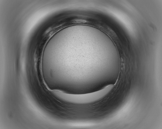 X0000112761151200909101525