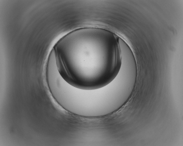X0000112761152200909101525