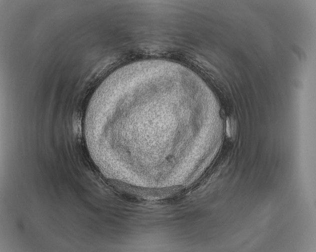 X0000112761155200909101524