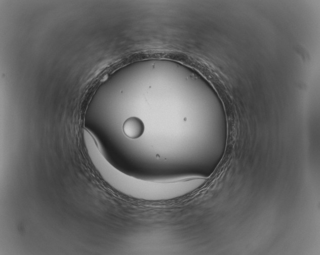 X0000112761157200909101524