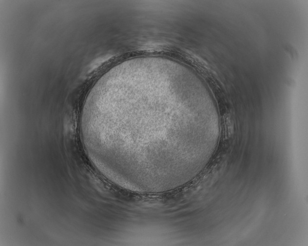 X0000112761158200909101524