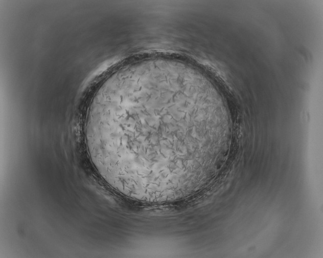 X0000112761159200909101524