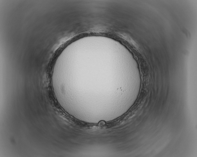 X0000112761160200909101524