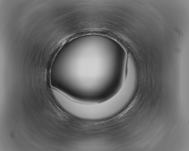 X0000112761161200909101524