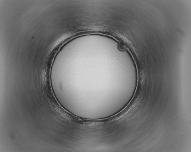 X0000112761163200909101524
