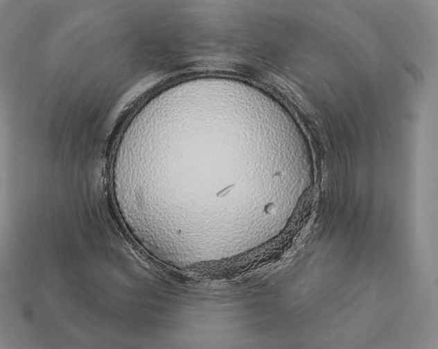 X0000112761164200909101524