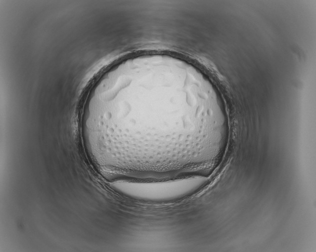 X0000112761167200909101524