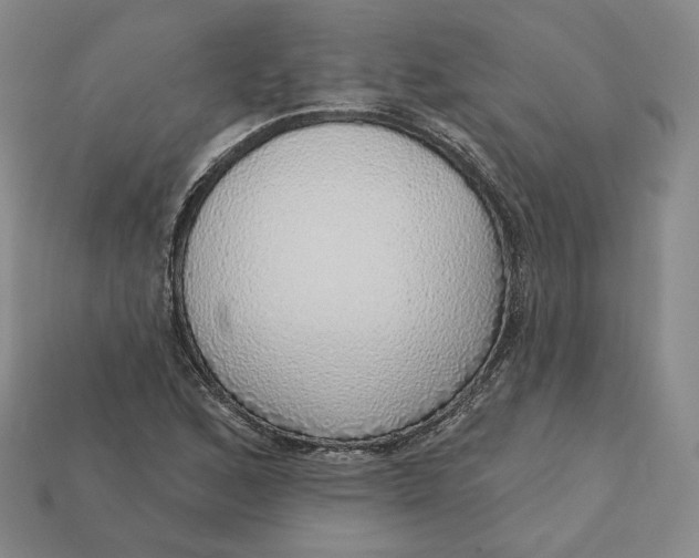 X0000112761168200909101524