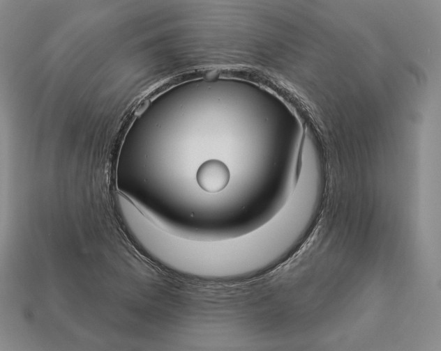 X0000112761169200909101524