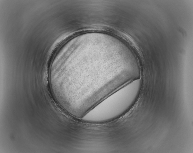 X0000112761172200909101524