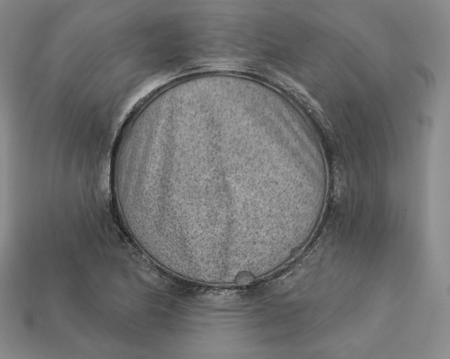 X0000112761174200909101524