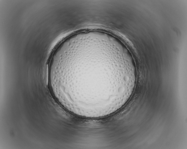 X0000112761175200909101524
