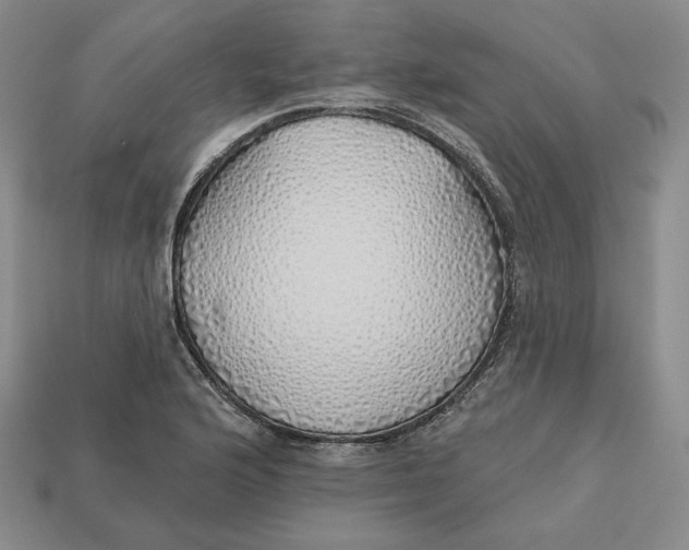 X0000112761176200909101524