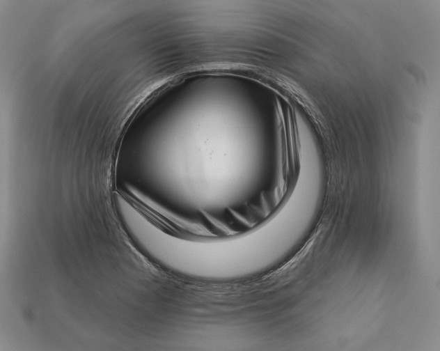 X0000112761177200909101524