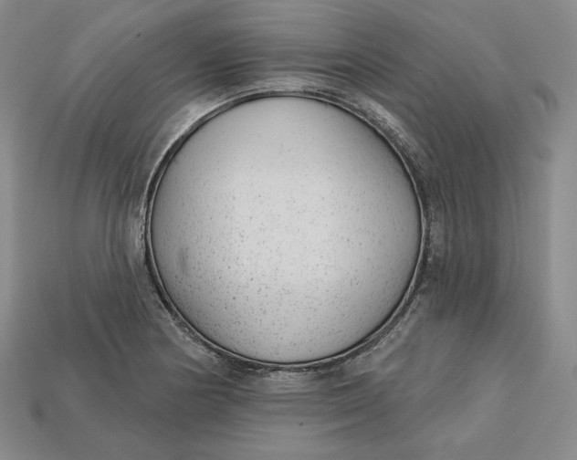 X0000112761178200909101524