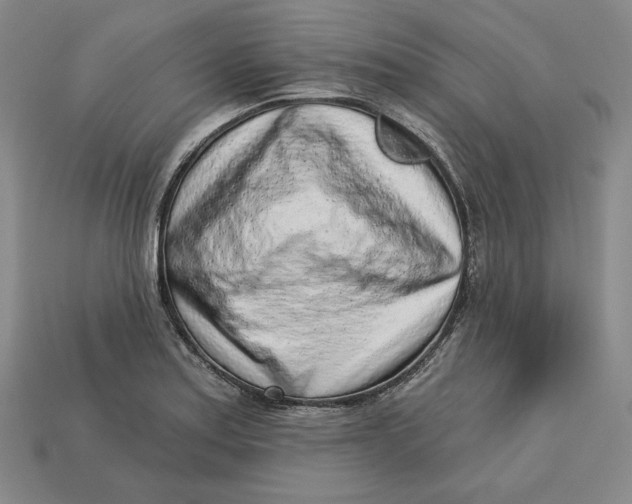 X0000112761179200909101524