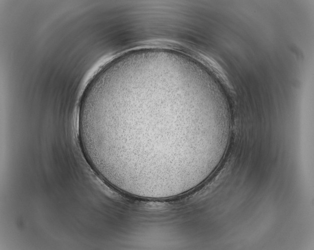 X0000112761180200909101524