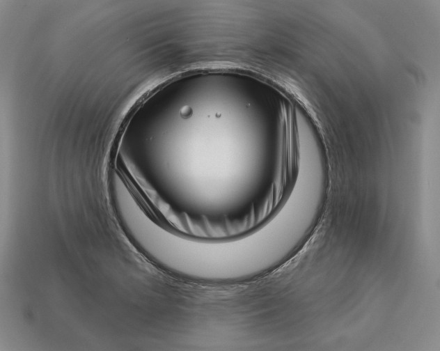 X0000112761181200909101524