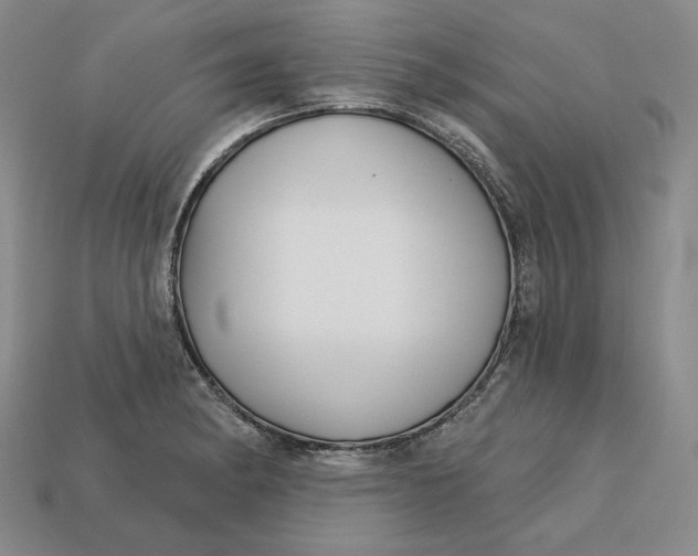 X0000112761182200909101524