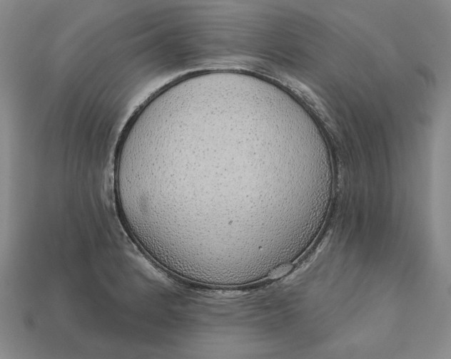 X0000112761184200909101524
