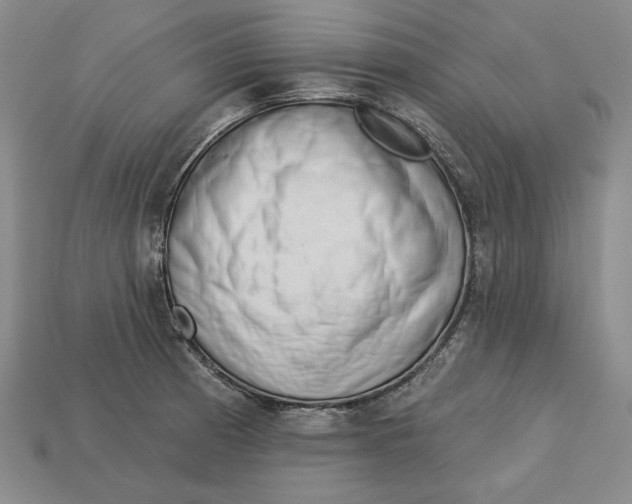 X0000112761185200909101524