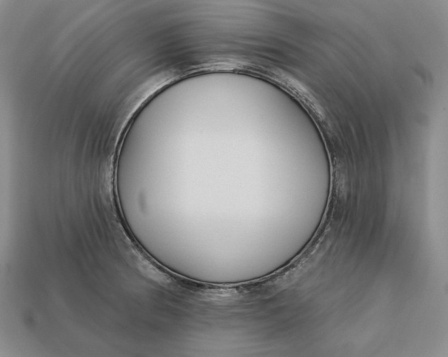 X0000112761186200909101524