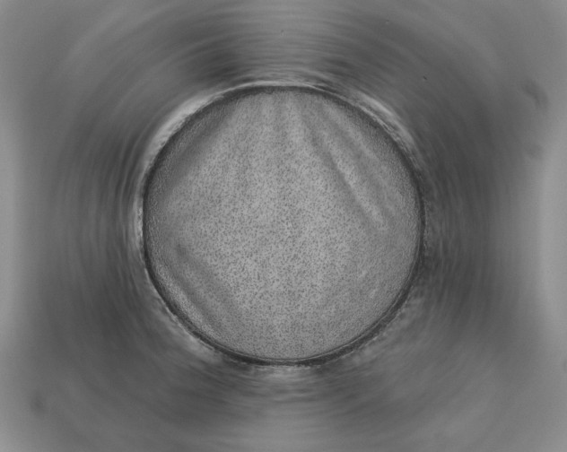 X0000112761188200909101524