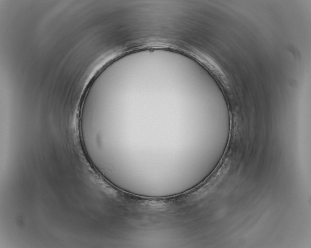 X0000112761190200909101524