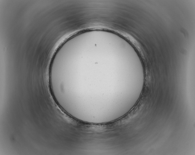 X0000112761191200909101524