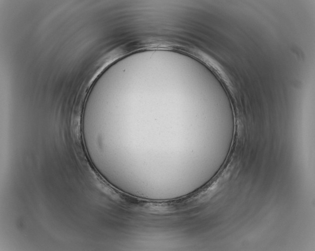 X0000112761194200909101524