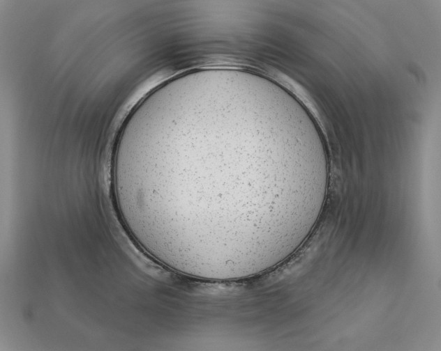 X0000112761195200909101524