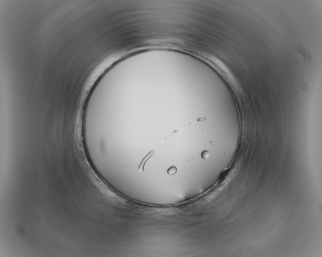 X0000112761196200909101524