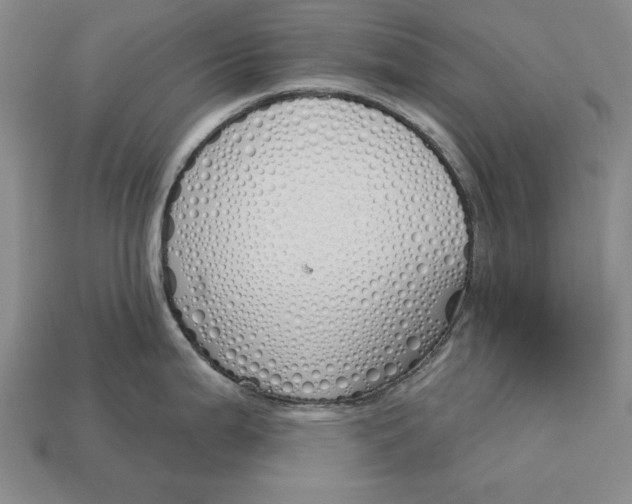 X0000112761199200909101524