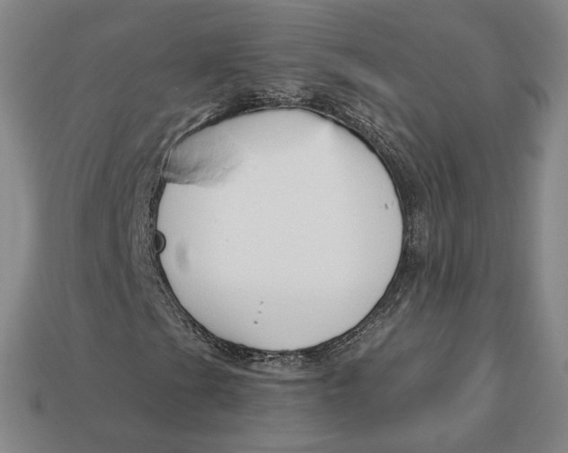 X0000112761201200909101523