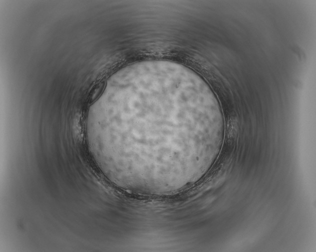 X0000112761202200909101523