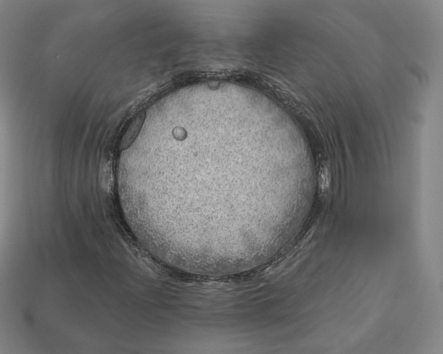 X0000112761204200909101523