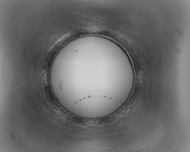 X0000112761205200909101523
